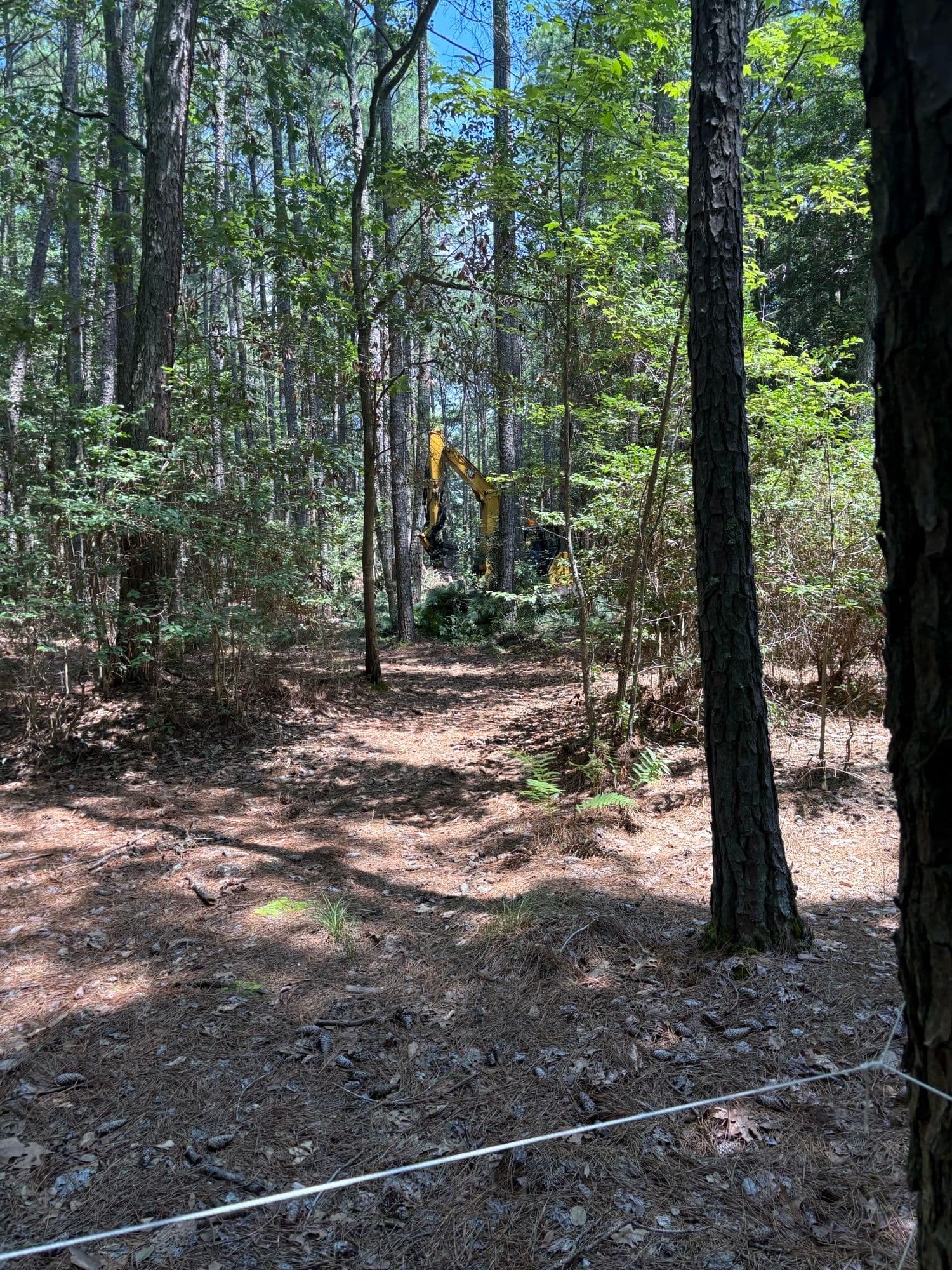 Gallery photos for Mathews County 6 Acre Clearing: Image #1