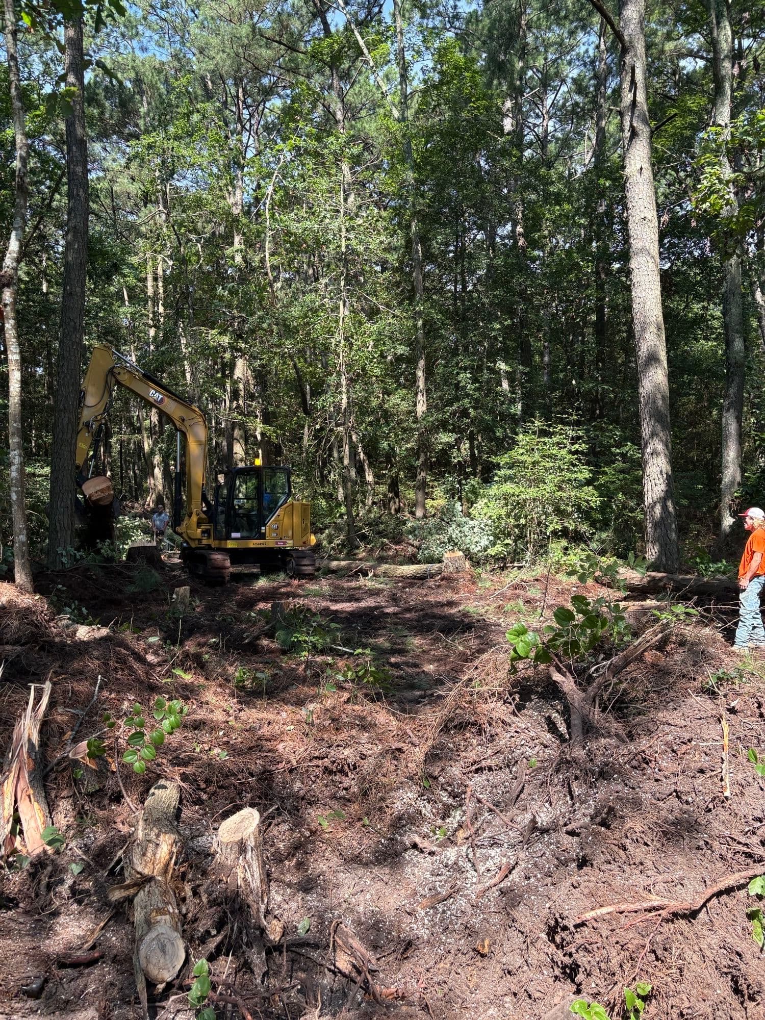Gallery photos for Mathews County 6 Acre Clearing: Image #4