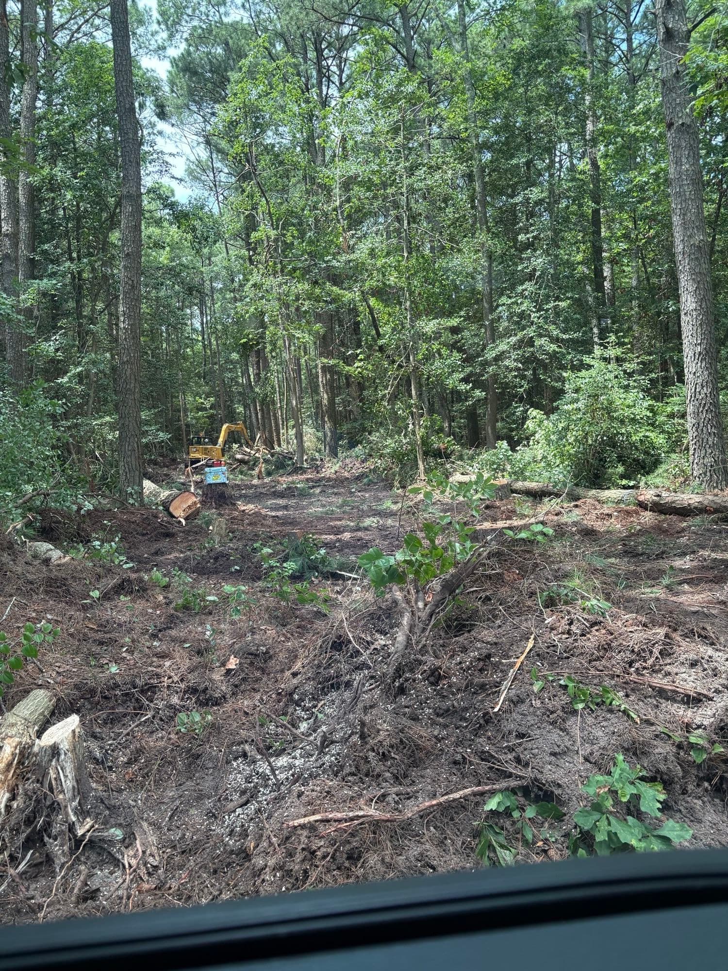 Gallery photos for Mathews County 6 Acre Clearing: Image #6