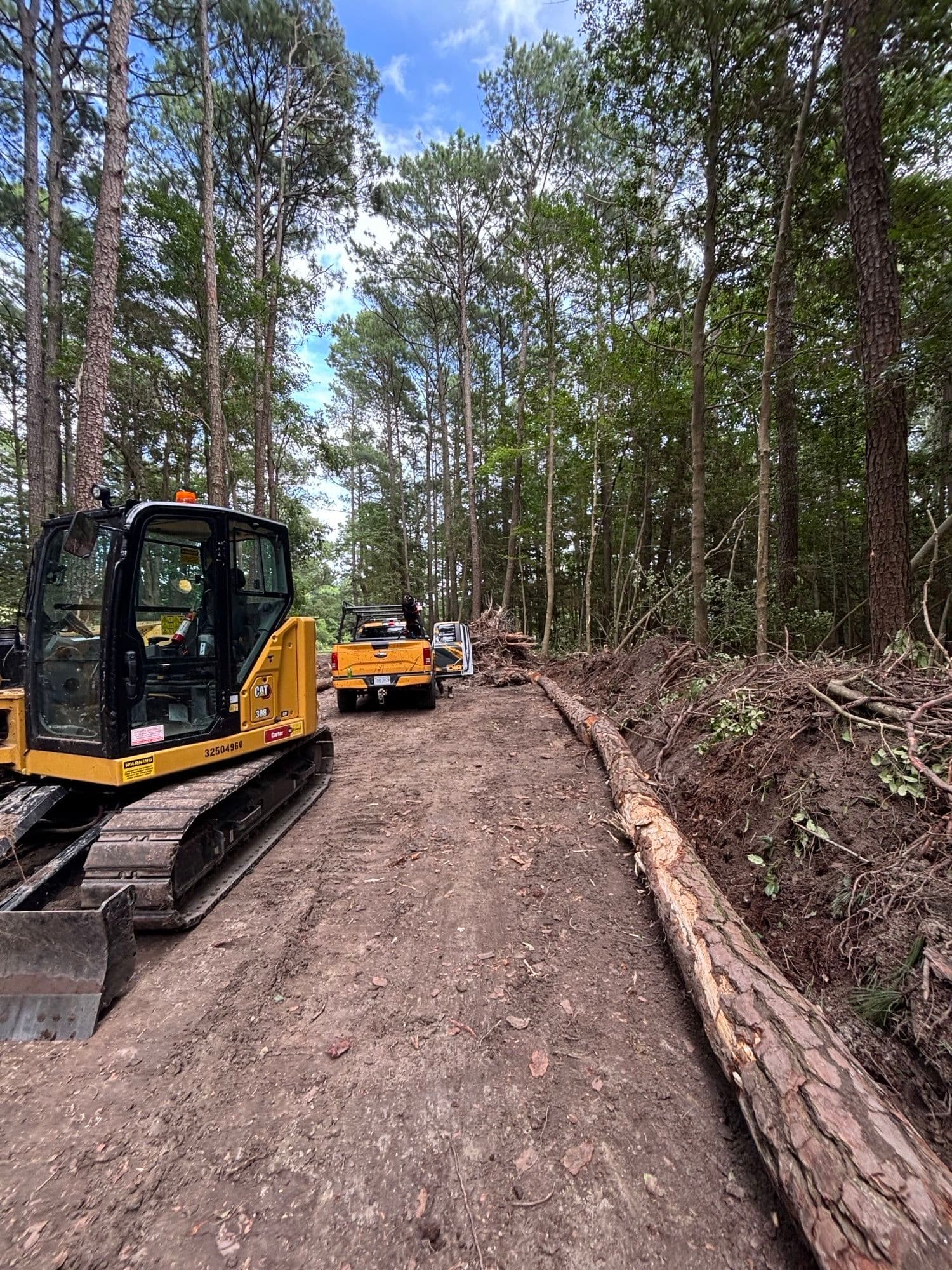 Gallery photos for Mathews County 6 Acre Clearing: Image #7