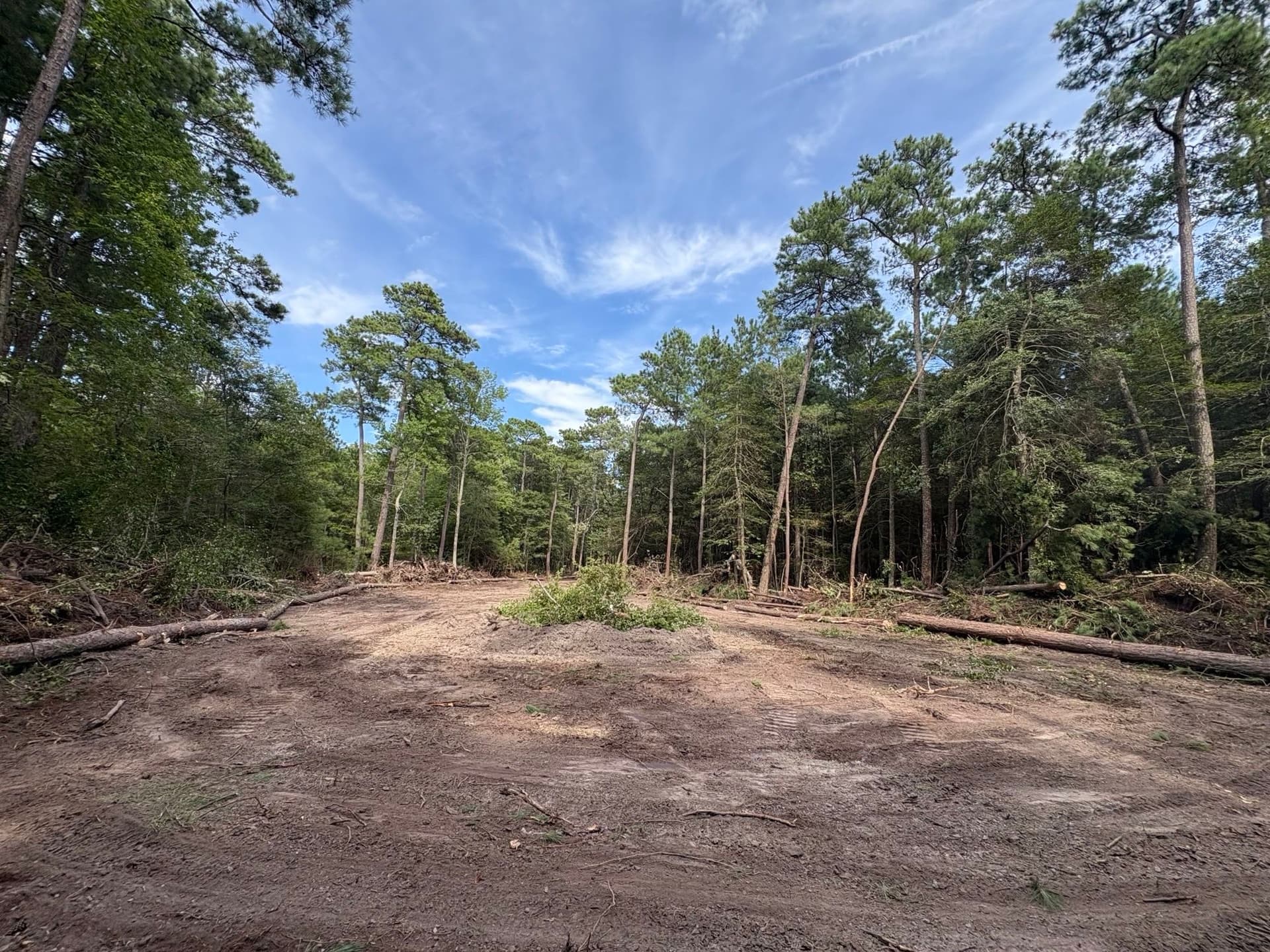 Gallery photos for Mathews County 6 Acre Clearing: Image #8