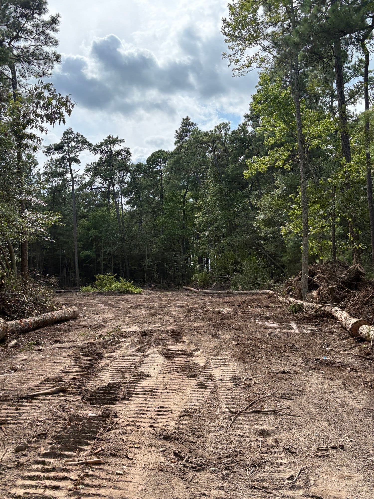 Gallery photos for Mathews County 6 Acre Clearing: Image #9