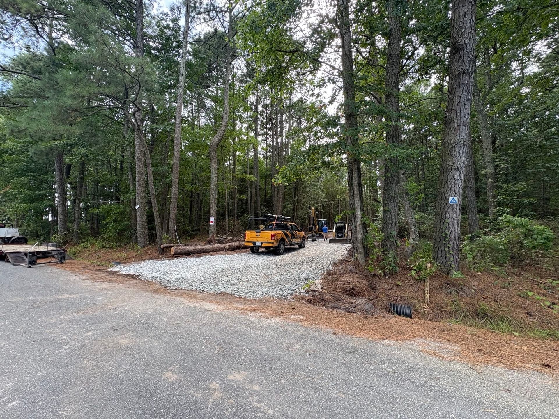 Gallery photos for Mathews County 6 Acre Clearing: Image #12