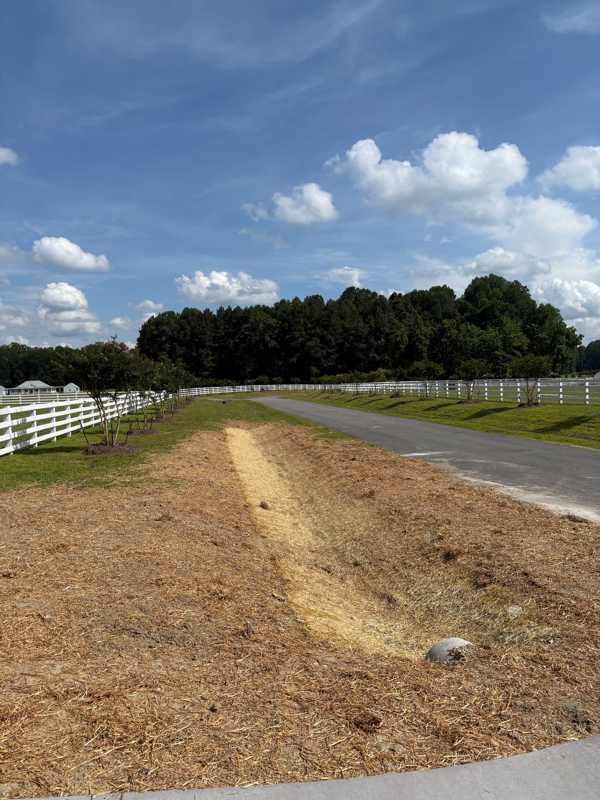 Gallery photos for Toano Lot Transformation : Image #12