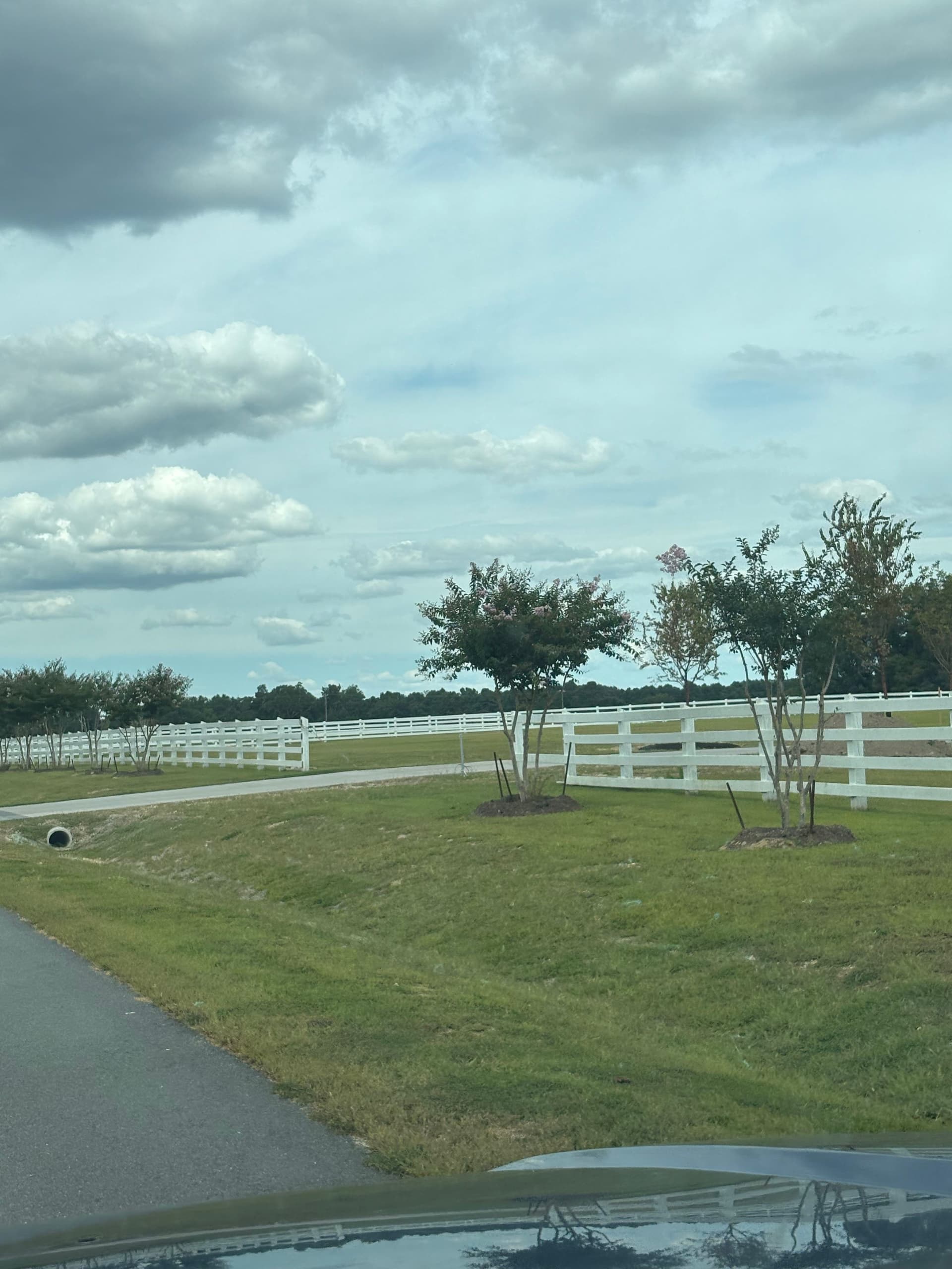 Gallery photos for Toano Lot Transformation : Image #13