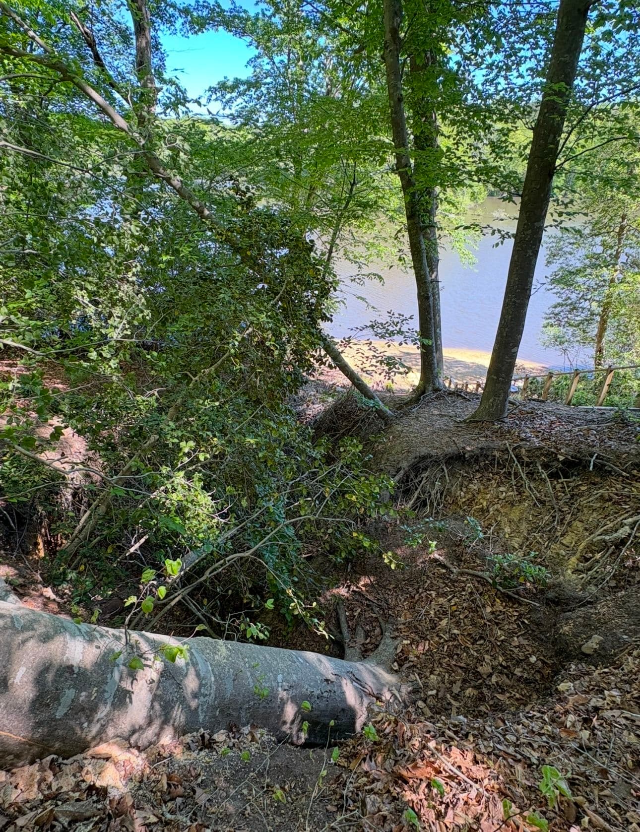 Williamsburg Slope and Erosion Issues Rectified image