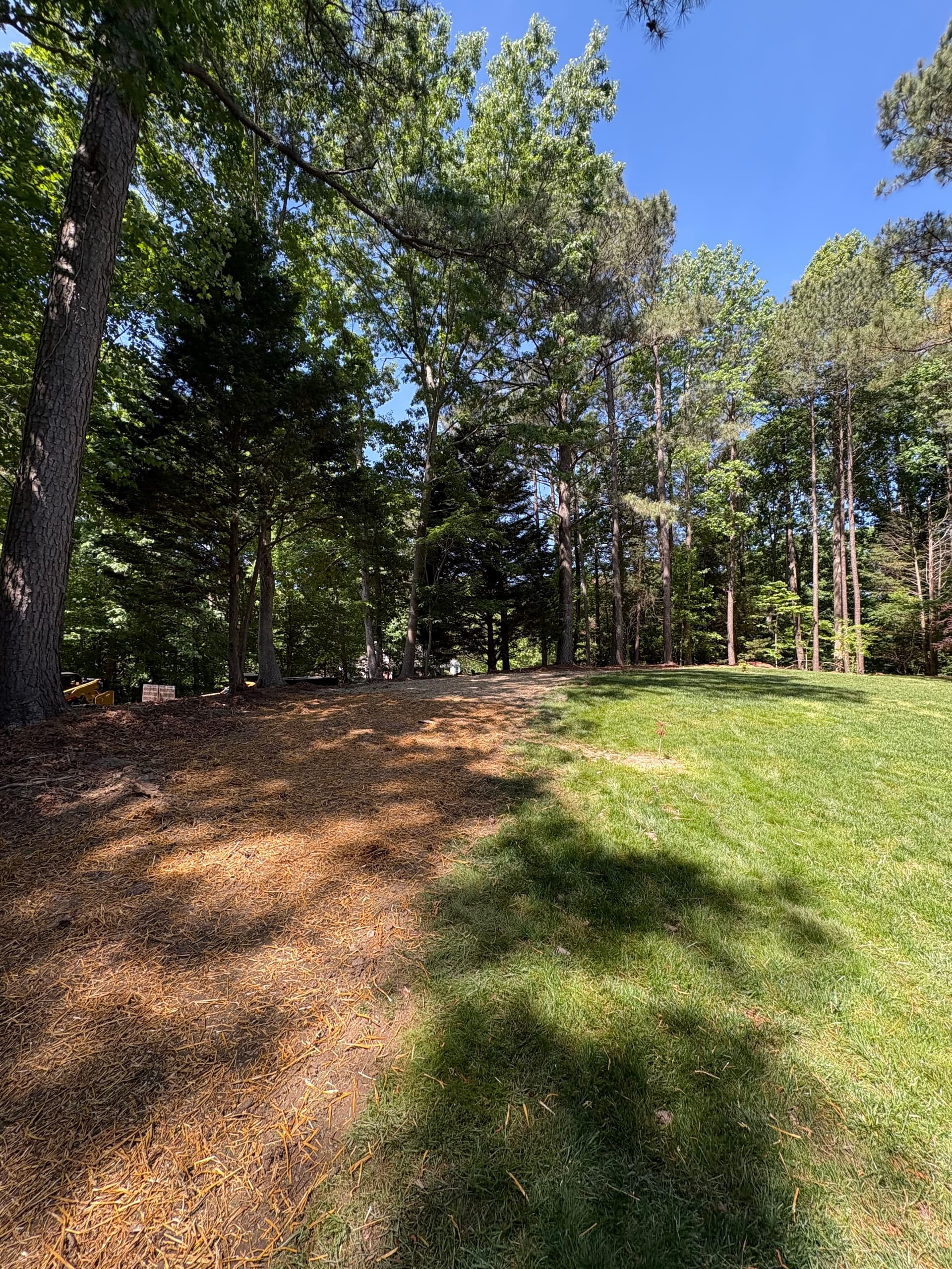 Gallery photos for Williamsburg Slope and Erosion Issues Rectified: Image #9