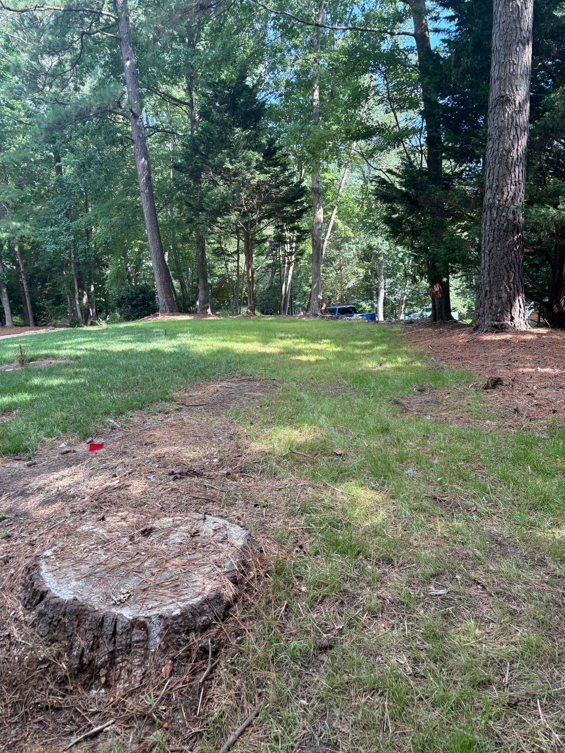 Gallery photos for Williamsburg Slope and Erosion Issues Rectified: Image #10