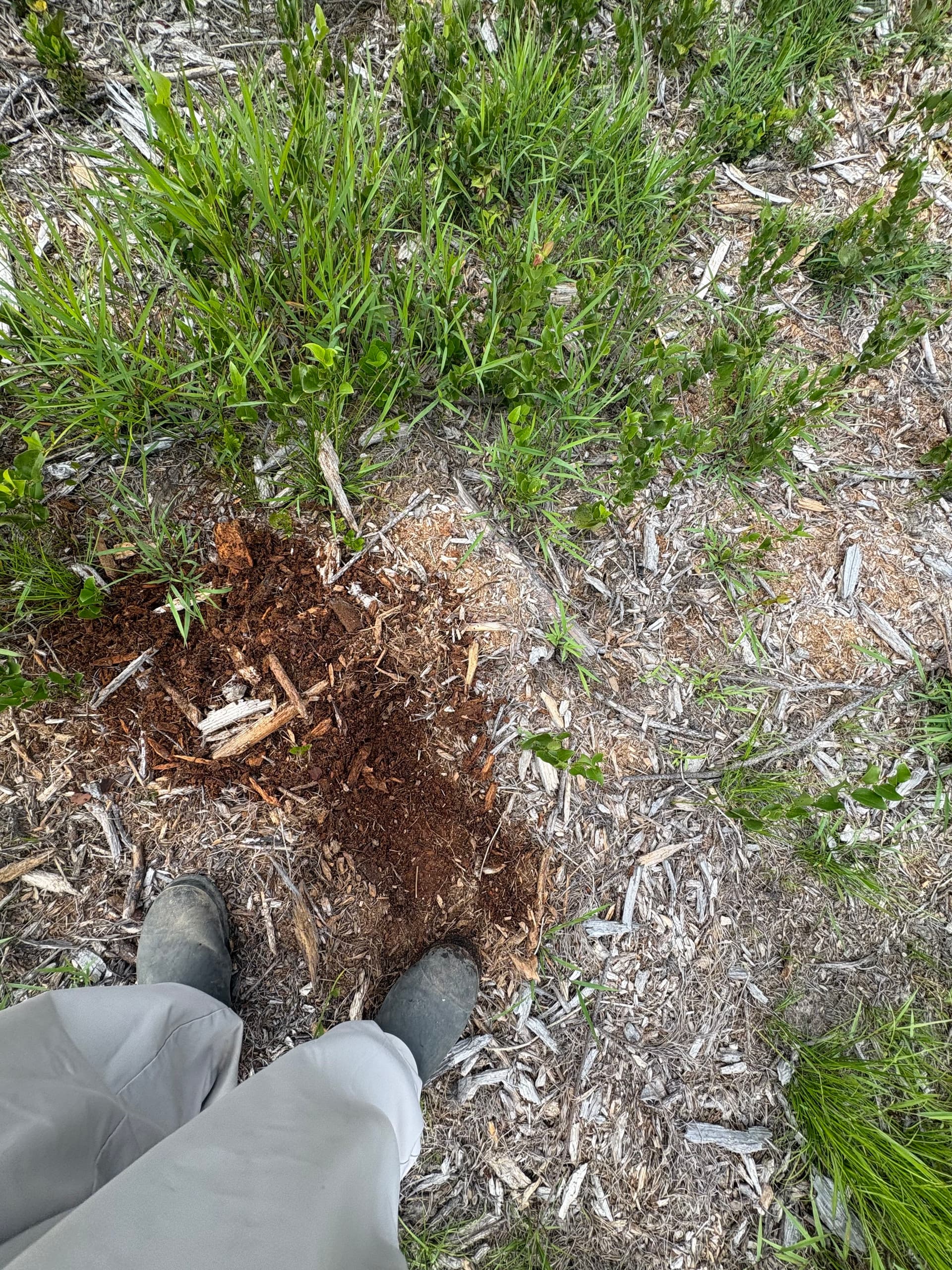 The Importance of Clearing Land Correctly to Maintain Land Usability image