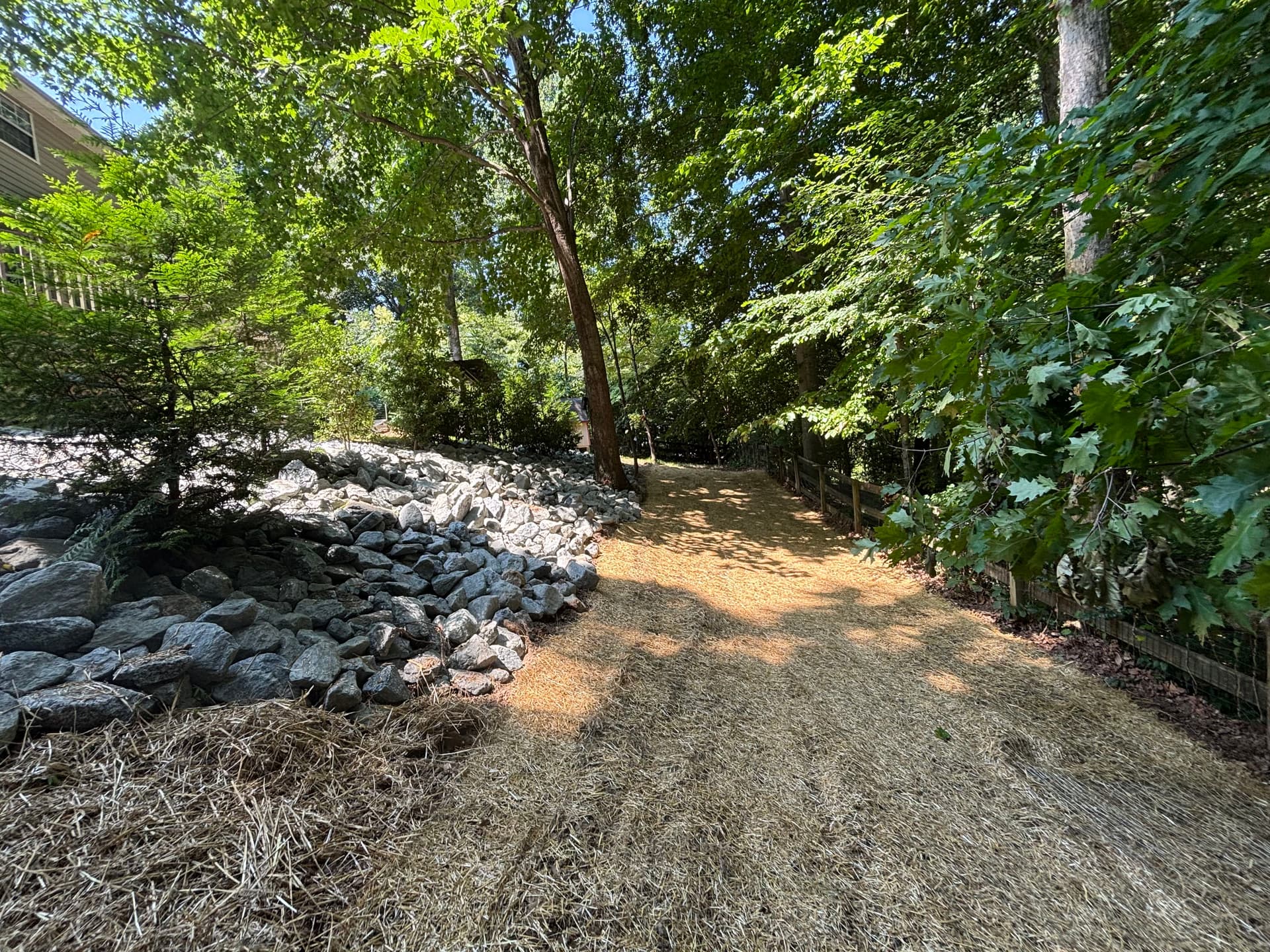 Transforming Erosion Into a Williamsburg Oasis image