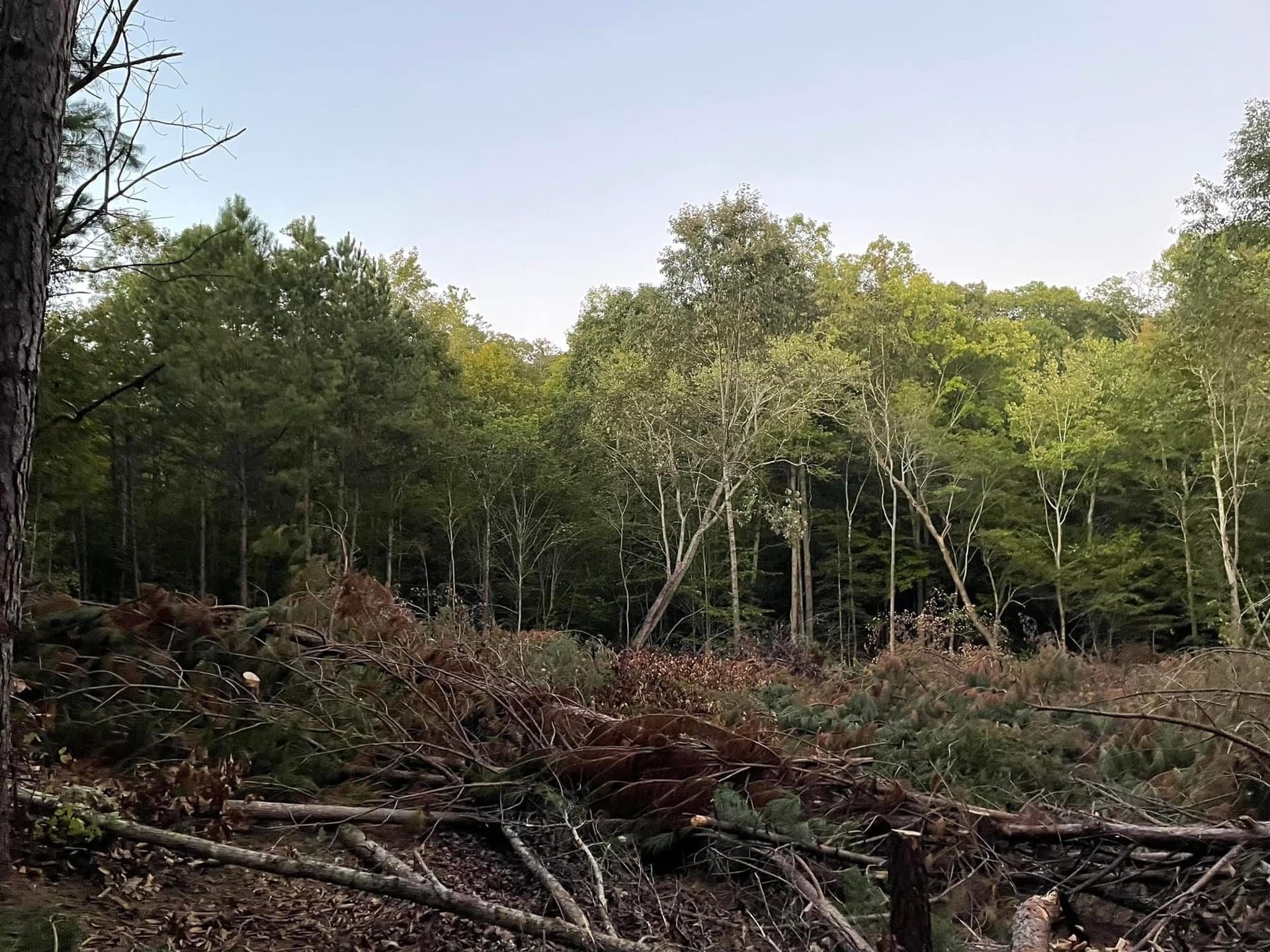 Gallery photos for Expert Excavation Project in Williamsburg: Image #6