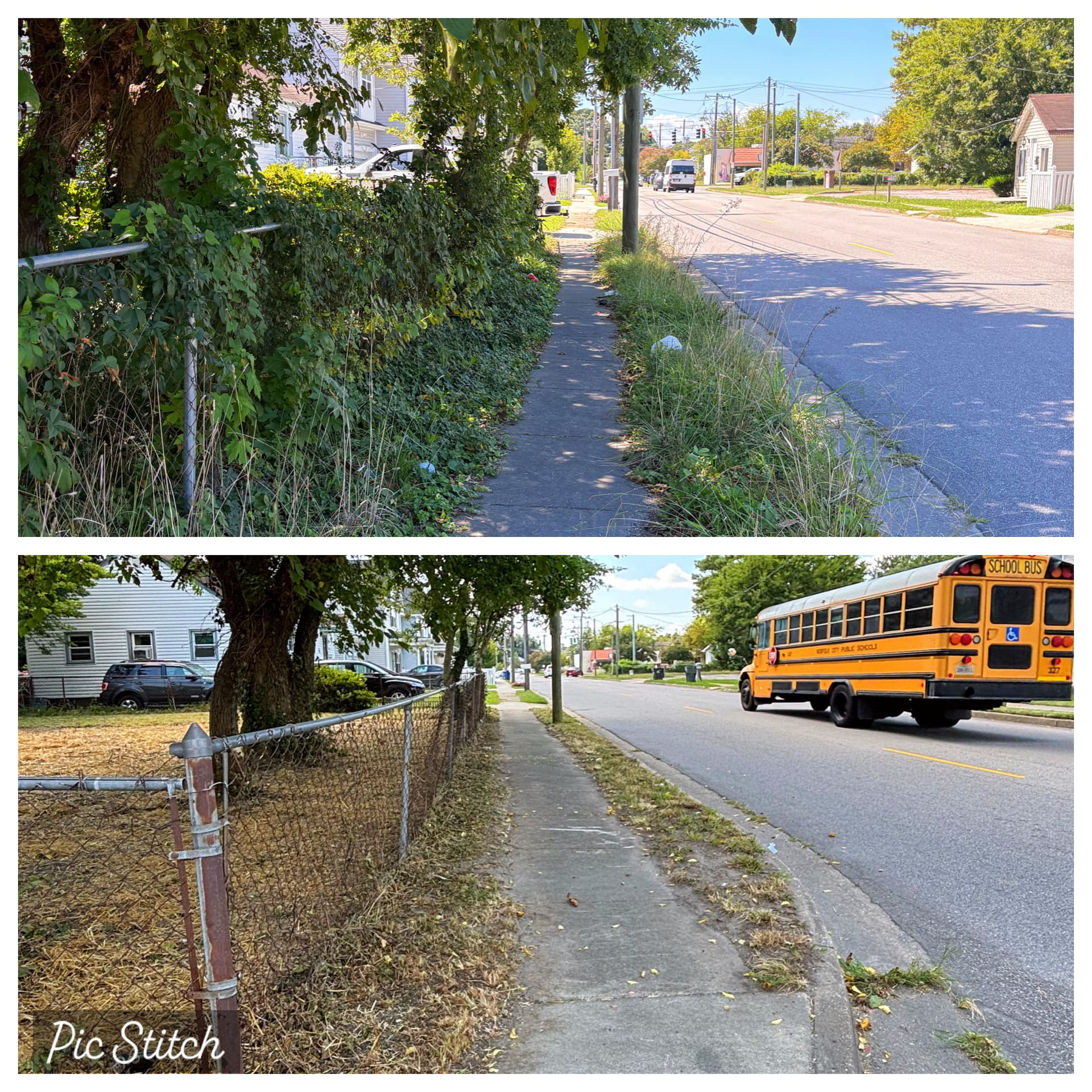 Gallery photos for Transformative Clearing and Grading in Norfolk: Image #2