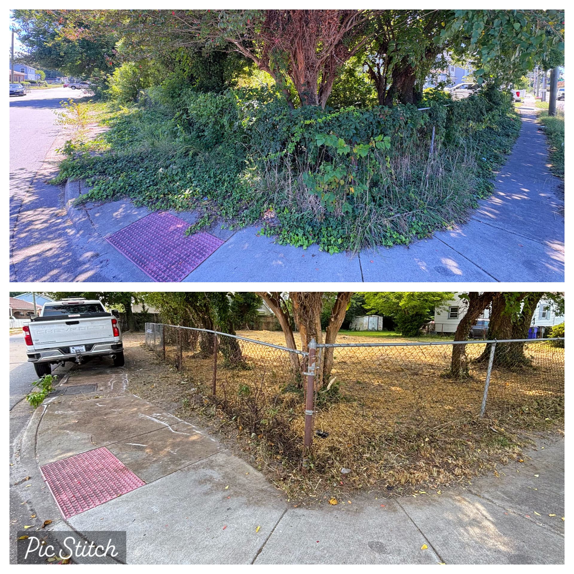 Gallery photos for Transformative Clearing and Grading in Norfolk: Image #6