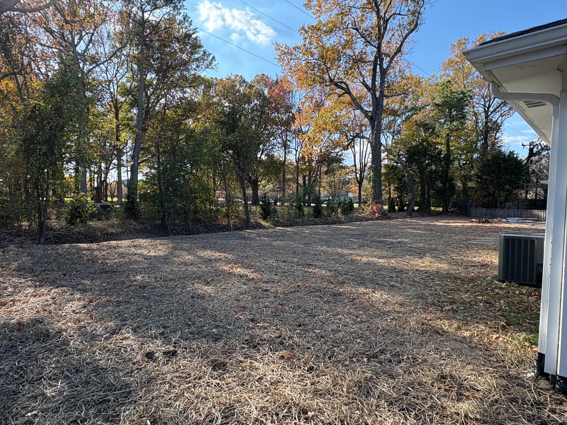 Demo and Grading Project in Virginia Beach image