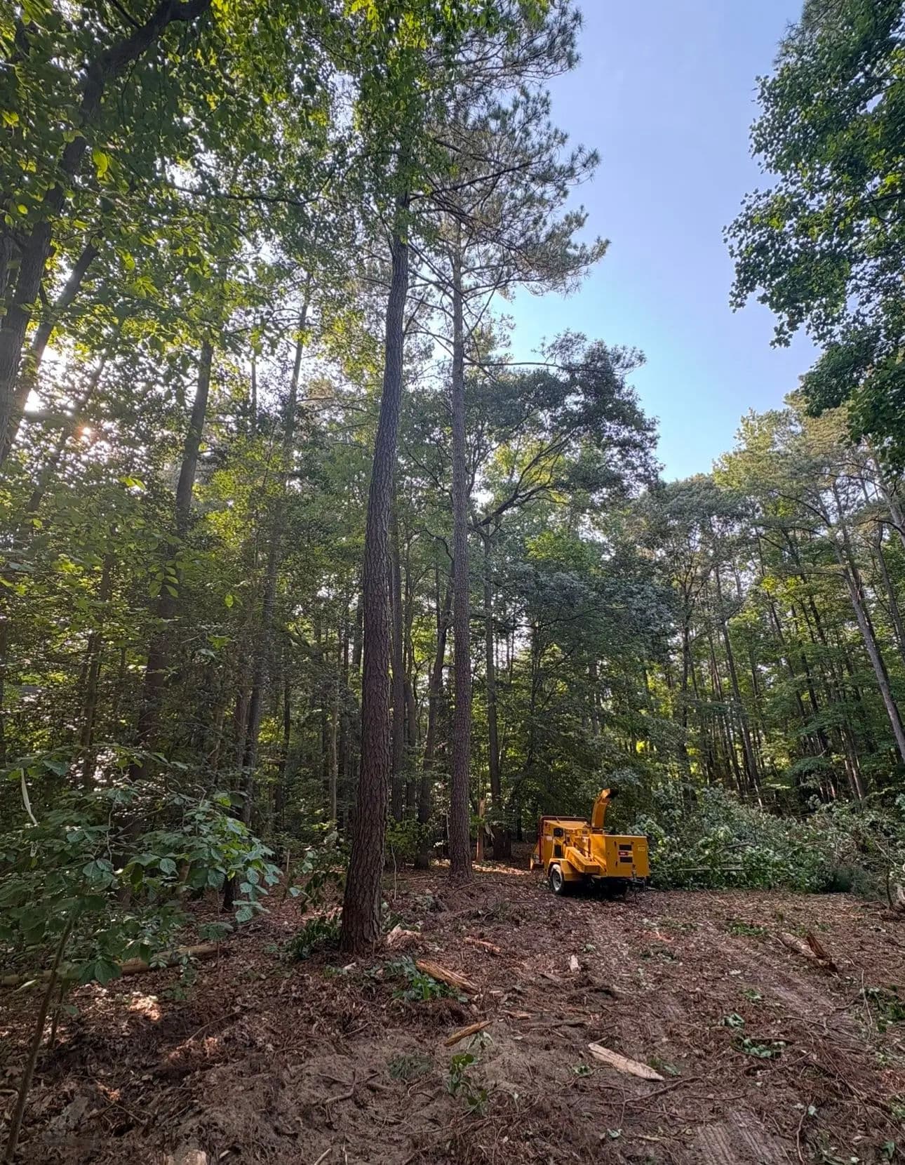 Gallery photos for Start to Finish Home Site Development in Gloucester: Image #1