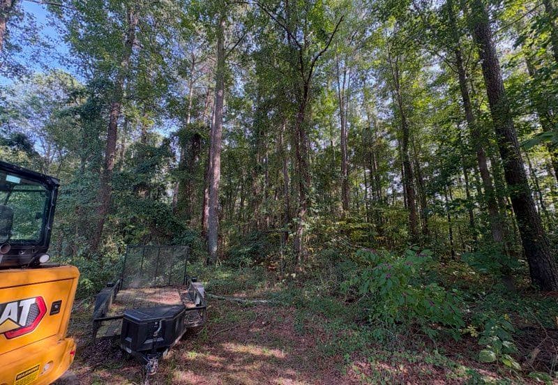 Gallery photos for Lot Clearing and Preparation in Williamsburg: Image #3