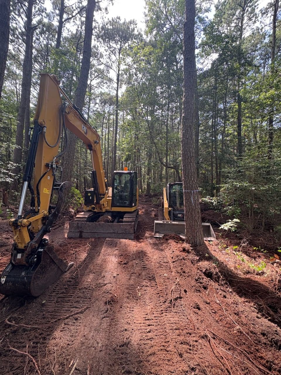Mathews County 6 Acre Clearing image