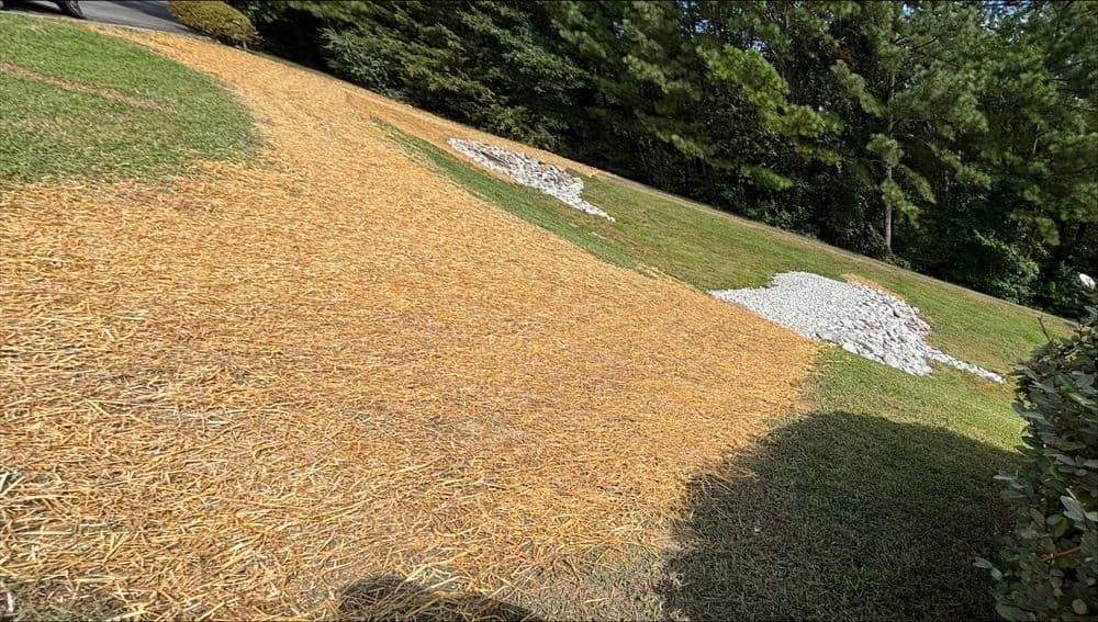 Dry, straw-covered hillside with rock formations and surrounding greenery.