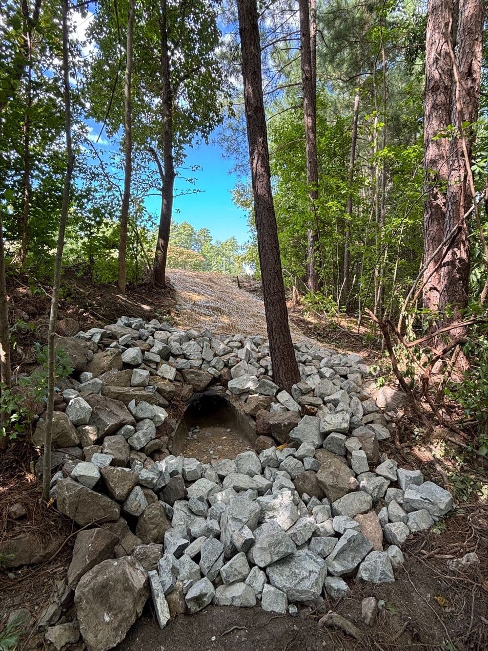 Rock-lined trail entrance surrounded by trees and blue sky in a wooded area.