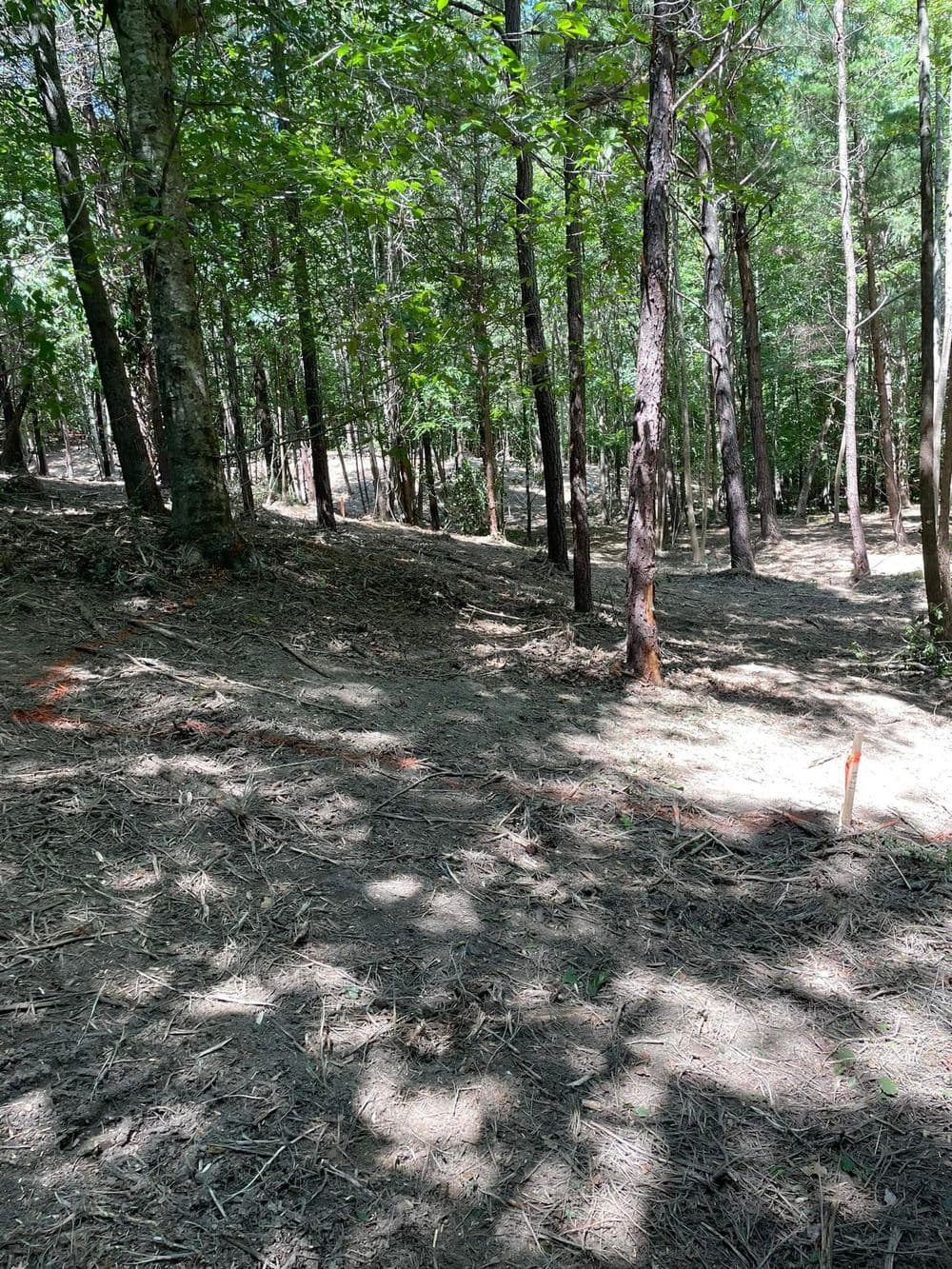 Gallery photos for Expert Excavation Project in Williamsburg: Image #7