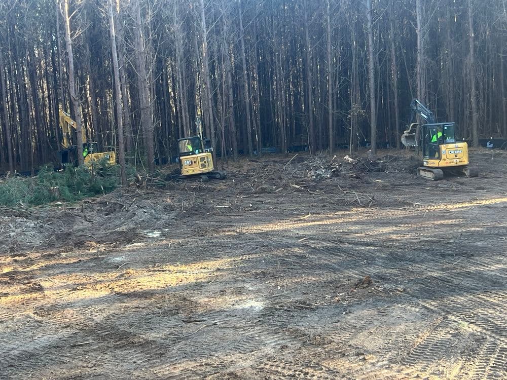 Gallery photos for Lot Clearing and Grading in Gloucester: Image #1