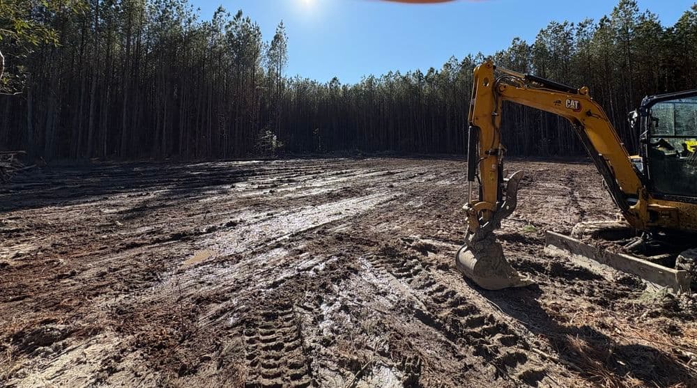 Gallery photos for Forest Preparation and Infrastructure Installation in Gloucester: Image #5