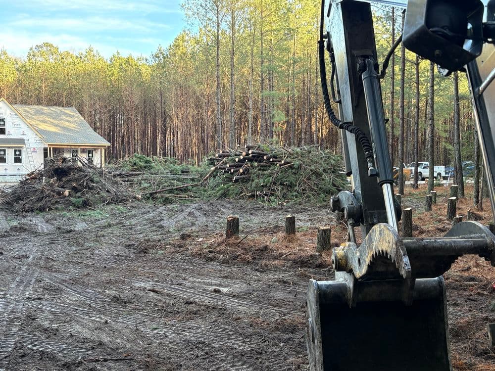 Gallery photos for Forest Preparation and Infrastructure Installation in Gloucester: Image #1