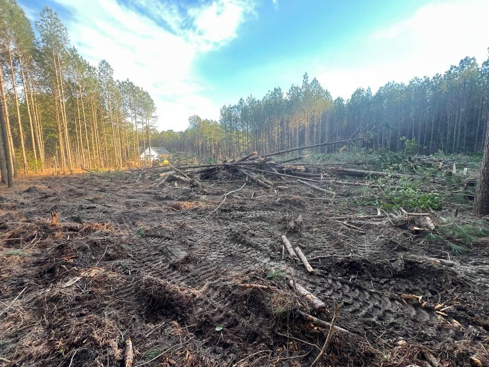 Gallery photos for Forest Preparation and Infrastructure Installation in Gloucester: Image #2