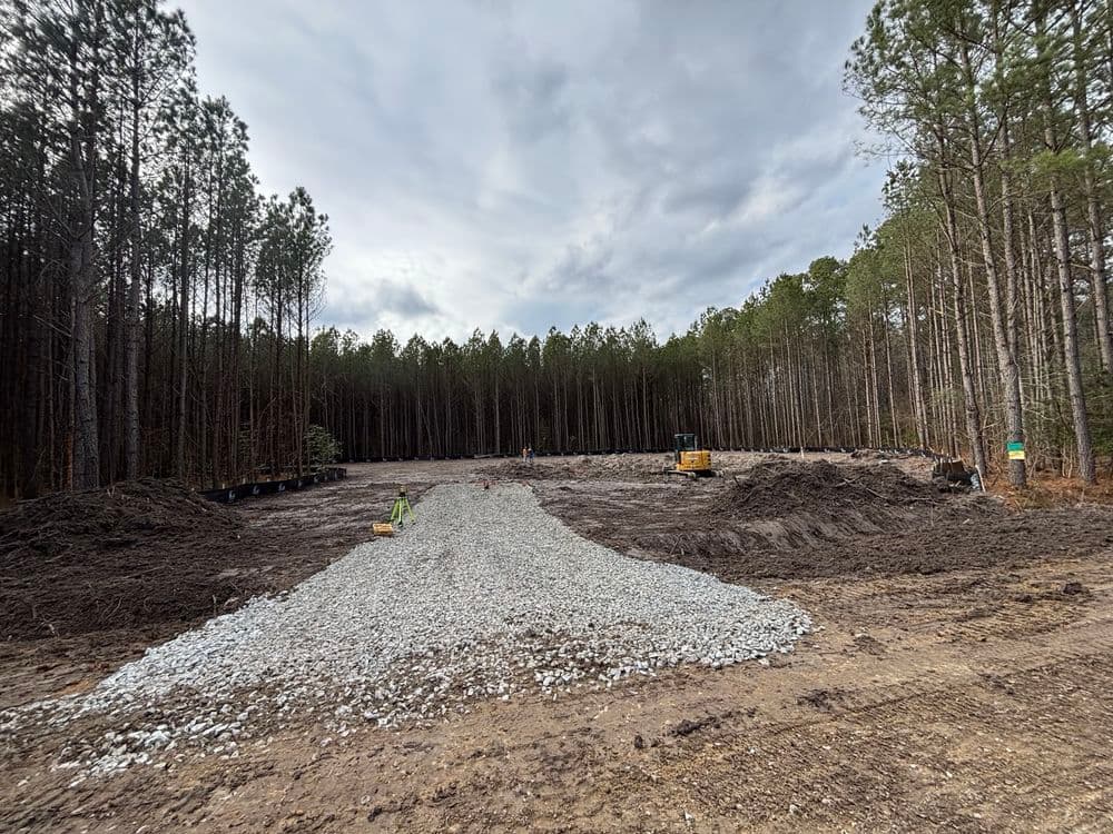 Gallery photos for Forest Preparation and Infrastructure Installation in Gloucester: Image #7